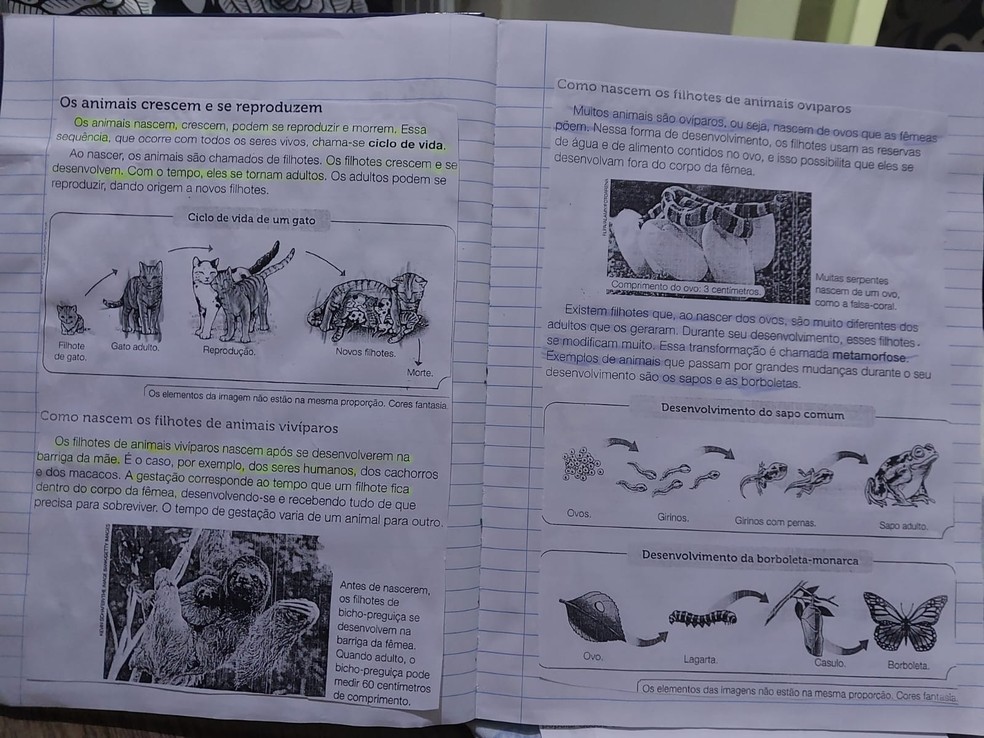 Após decisão judicial, uso de materiais pedagógicos é suspenso na rede de ensino de Piracicaba