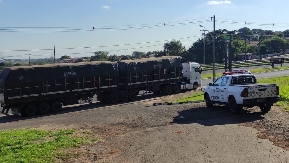 Madeireira e motorista são multados em R$ 58 mil por transportar madeira irregular na Rodovia Assis Chateaubriand