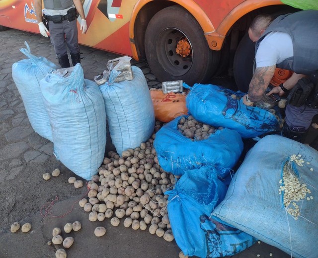 Passageiros de ônibus são presos com cocaína em sacos de batata em rodovia de Assis