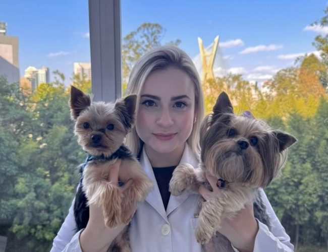 Oncologia Veterinária: avanços, tratamentos e esperança para cães e gatos com câncer