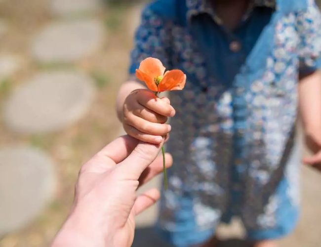 Dia da Gentileza: quando o amor vira ação e transforma comunidades inteiras