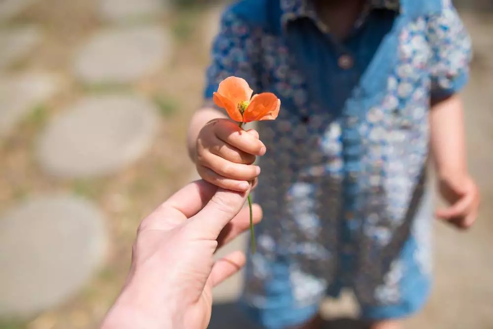 Dia da Gentileza: quando o amor vira ação e transforma comunidades inteiras