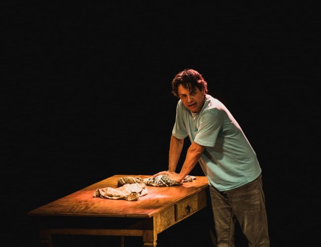 TEATRO EM SP: Espetáculo “Meu Nome: Mamãe”, com Aury Porto, será apresentado em Barretos dias 28 e 29 de março