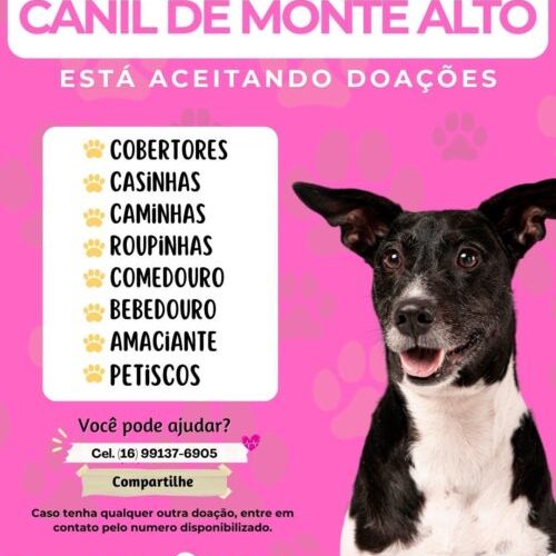 Monte Alto conta com apoio de doações para canil e incentiva adoção consciente.