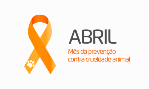 Abril Laranja: Mobilização Nacional pelo Fim da Crueldade Animal no Brasil