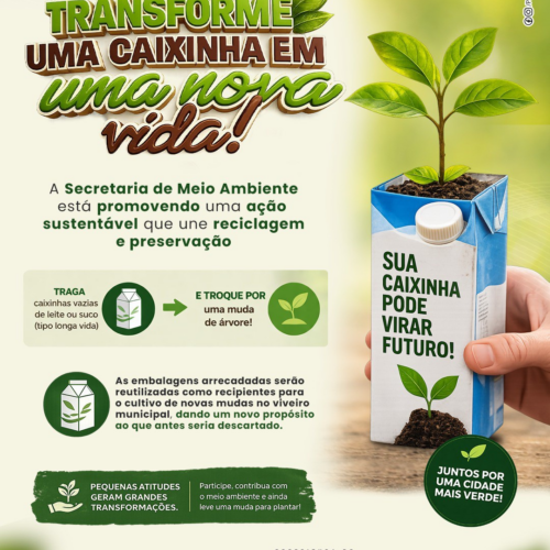 Troca de embalagens por mudas de árvores: Prefeitura promove reciclagem e sustentabilidade
