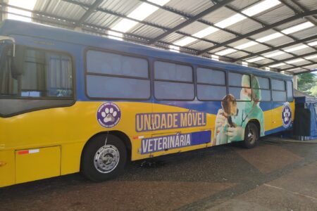 Monte Alto intensifica serviços de saúde animal com novas campanhas de castração