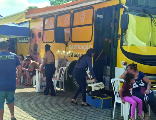 Campanha conjunta com o Instituto Luisa Mell oferece centenas de castrações sem custo em Poá