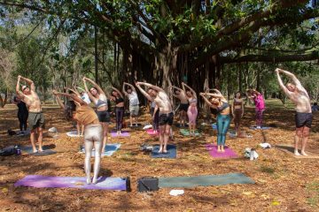Yoga com Causa promove aula gratuita no Parque Ibirapuera no domingo, 10 de maio