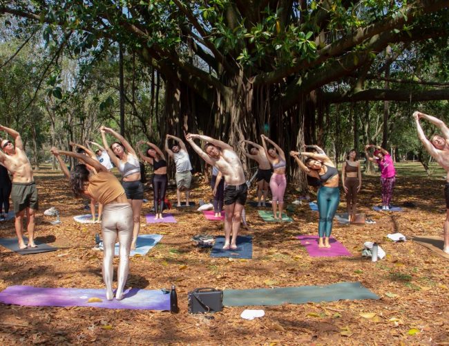 Yoga com Causa promove aula gratuita no Parque Ibirapuera no domingo, 10 de maio