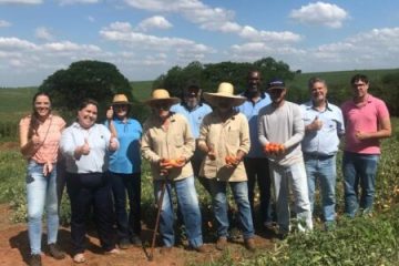 Município Agro: Catalisador de Investimentos e Fomento ao Desenvolvimento Rural Sustentável em Monte Alto