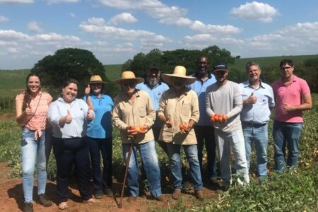 Município Agro: Catalisador de Investimentos e Fomento ao Desenvolvimento Rural Sustentável em Monte Alto