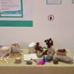 Monte Alto celebra a Semana Nacional de Museus com exposições e experiências interativas