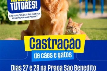 Monte Alto recebe 400 castrações gratuitas para pets através do programa Pro PET