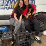 Monte Alto realiza nova etapa de castrações gratuitas de cães e gatos