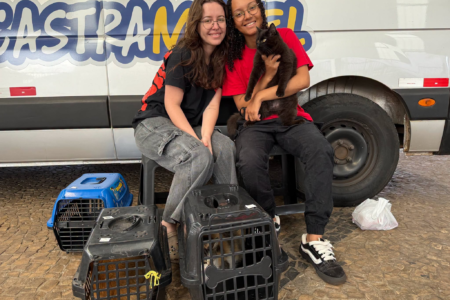 Monte Alto realiza nova etapa de castrações gratuitas de cães e gatos